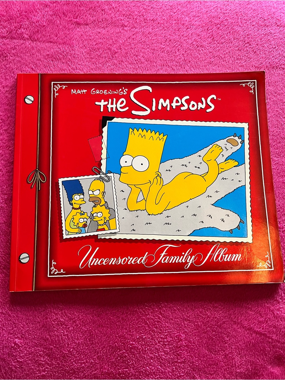 The Simpsons Uncensored Family Album 1991